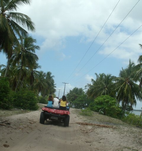 Day Use em Mangue Seco