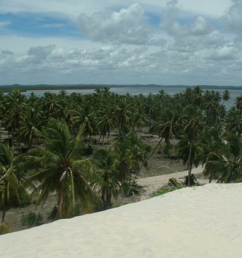 Day Use em Mangue Seco