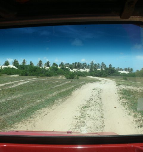 Day Use em Mangue Seco