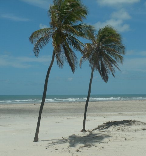 Day Use em Mangue Seco