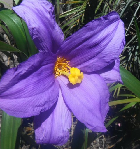 Excursão Carnaval em Mucugê