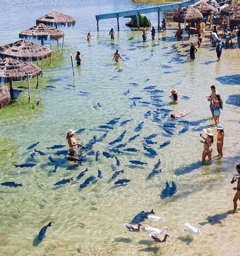 Bate-Volta Lagoa dos Tambaquis 